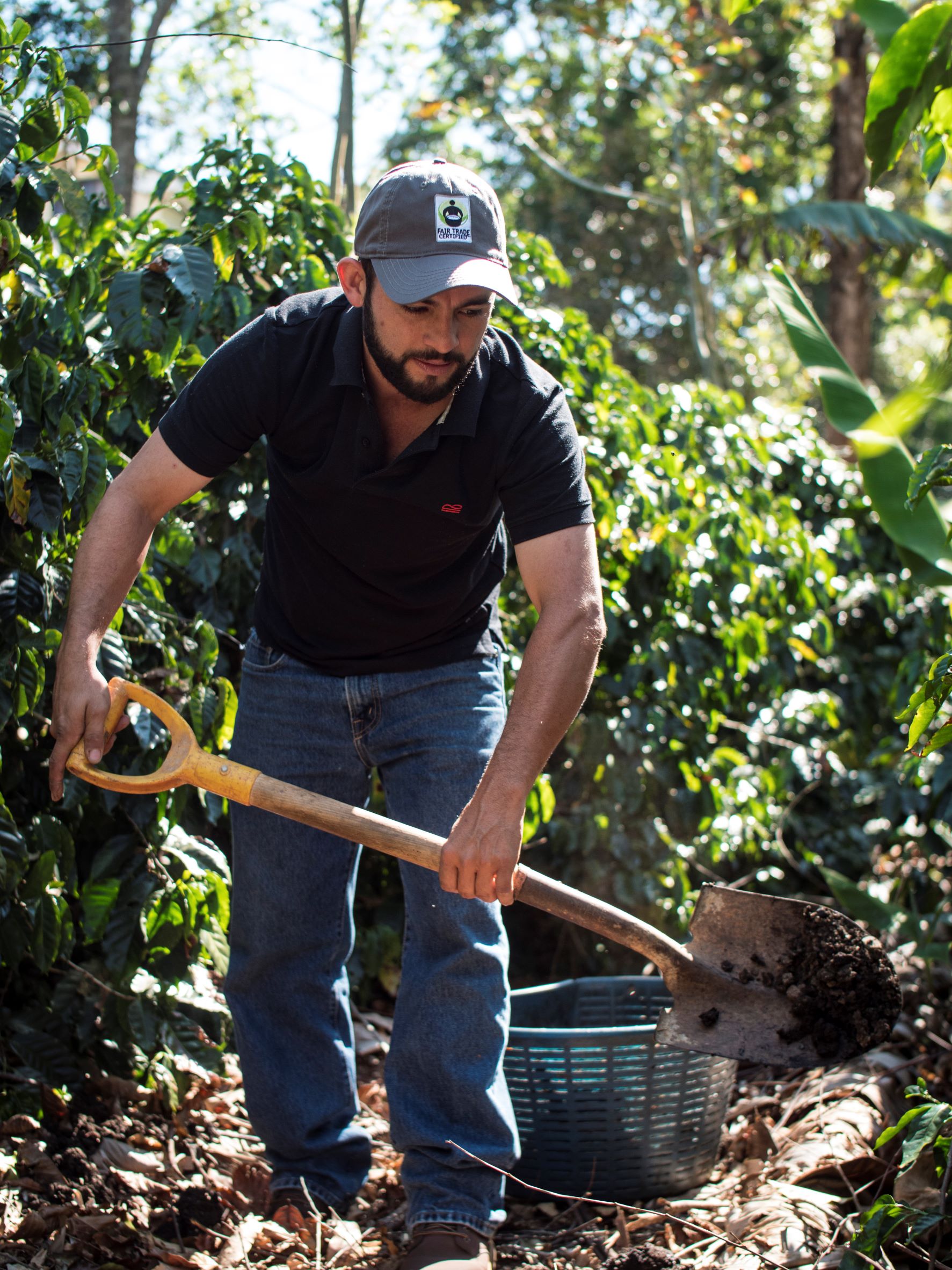 Man working on a coffee farm