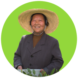 Jiang Fengzu, Member of Wuyuan Xitou Tea Farmers Association