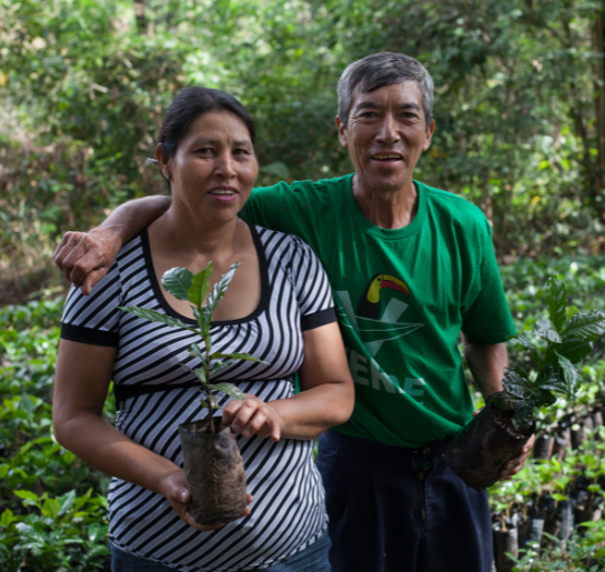 Couple smiling at camera holding plant