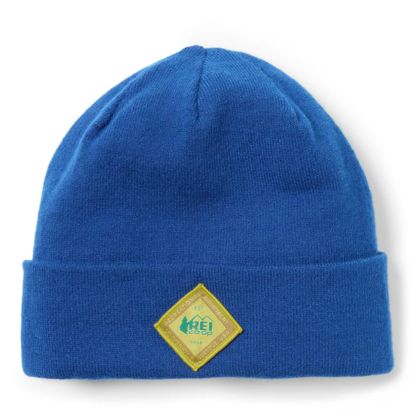Cotopaxi Alto Beanie