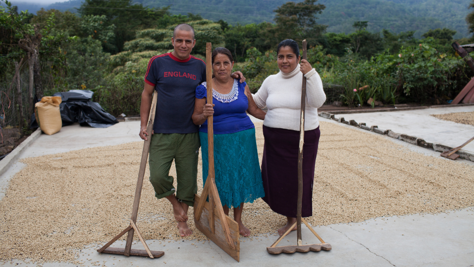 Organic coffee farmers in Chiapas, Mexico