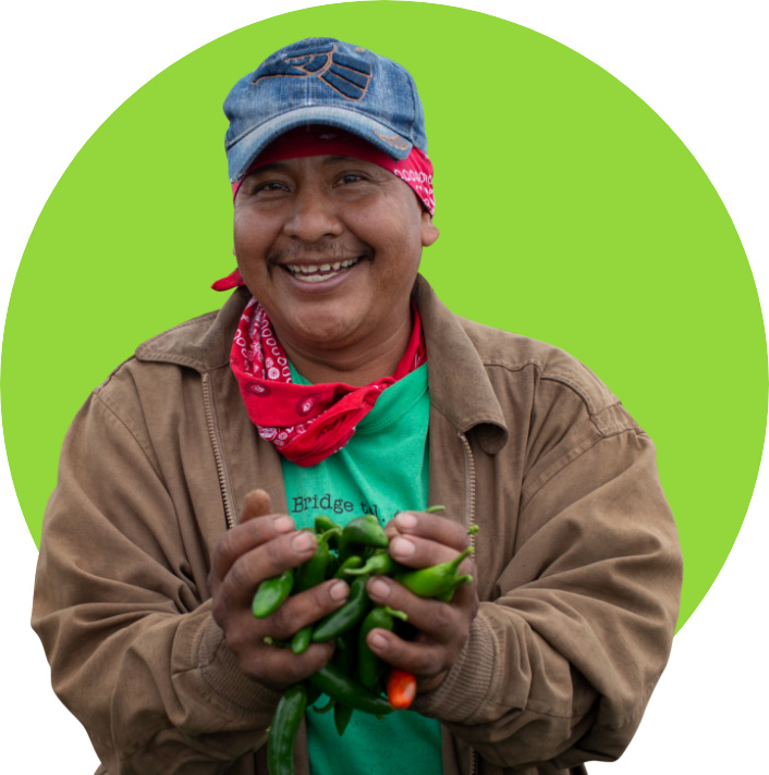 Farm worker with harvested peppers